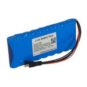 Lithium Ion Battery 12v