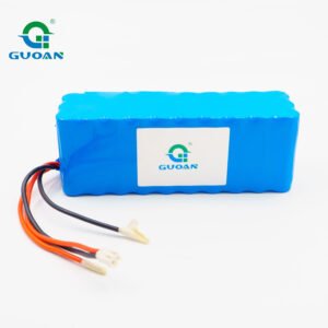 Lifepo4 Lithium Battery1